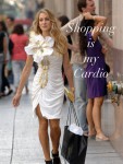 shopping is cardio