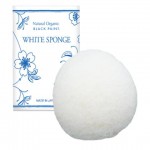 BP-white sponge