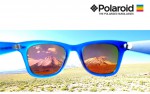 POLAROID Eyewear