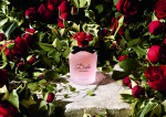 DGFF_Dolce Rosa Excelsa