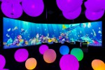 Sketch Aquarium & Light Ball Orchestra – Future World at ArtScience Museum (Credit to Marina Bay Sands)