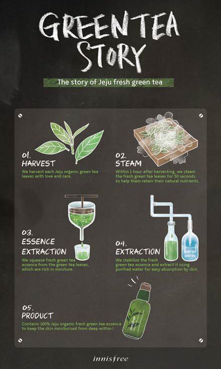 innisfree Green Tea Extract Process-Pamper.my