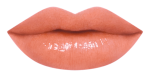 17RU_LipChart_OR520