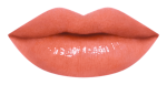 17RU_LipChart_OR540