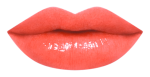 17RU_LipChart_OR551