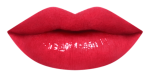 17RU_LipChart_RD166