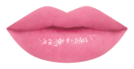 17RU_LipChart_WN225