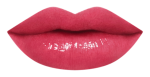 17RU_LipChart_WN256