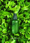 See All The Products From innisfree’s New & Improved Green Tea Line!-Pamper.my