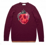 33229_POISON APPLE INTARSIA SWEATER