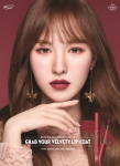 Etude House Matte Chic Lip Lacquer WENDY