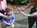 Singapore Zoo Jungle Breakfast With Wildlife